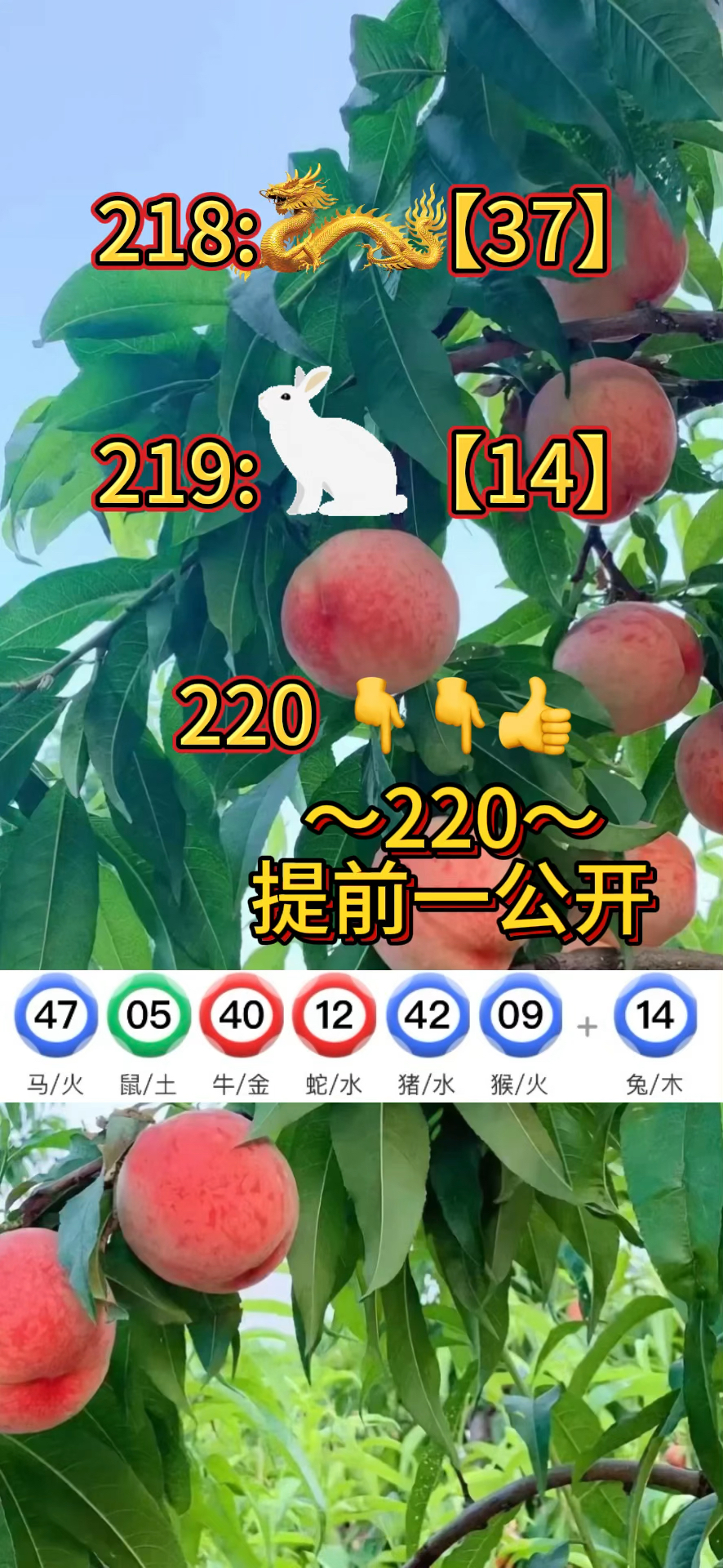 澳门正版资料免费更新2022澳,准确答案解释落实_3DM4121,127.13