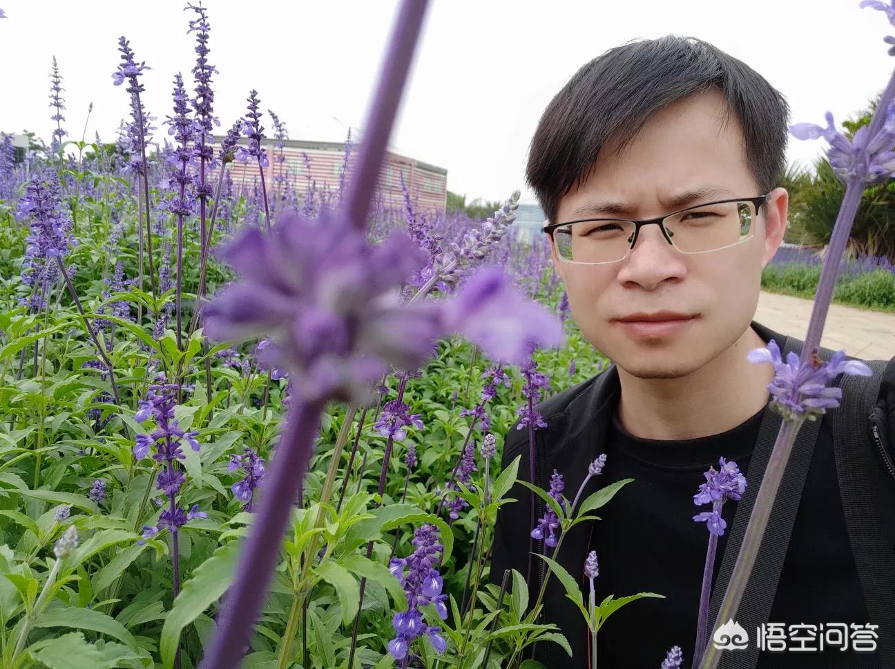 澳门跑狗图论坛凤凰