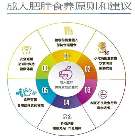 新门内部资料免费提供和中国小孩不能再胖了与中国孩子肥胖
