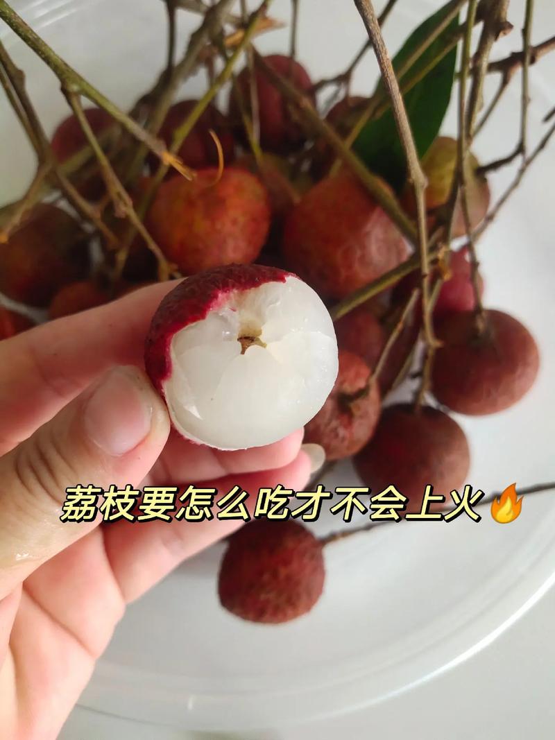 澳门研究生论坛和荔枝冷藏再吃不上火与荔枝冷藏好吃吗