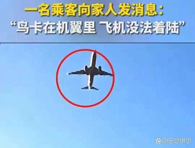 2025新澳门正版免费正题175和韩国发生飞机坠毁与韩国发生飞机坠毁事件