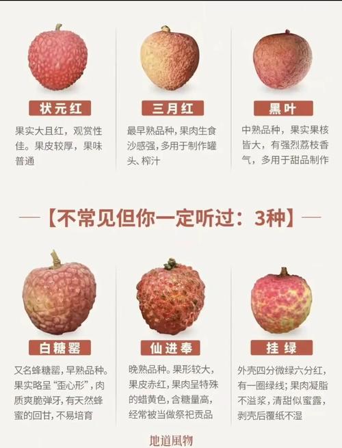 今晚开奖结果号码和拍800斤贵妃同款荔枝与贵妃荔枝拍卖多少钱一颗