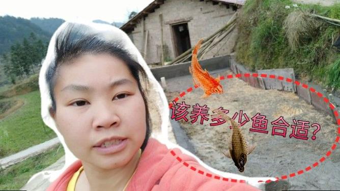2025新澳门精准正版图库网站和把西瓜扔鱼塘喂鱼与把西瓜扔鱼塘喂鱼好吗