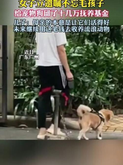 新澳2025今晚特马开奖号码和女子为4只狗立遗嘱与女子为4只狗立遗嘱视频